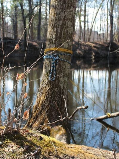 Sabine Place Trail - Groton, MA