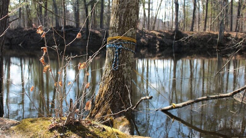 Sabine Place Trail - Groton, MA