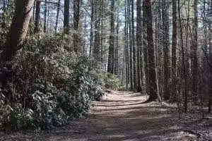Sabine Place Trail - Groton, MA