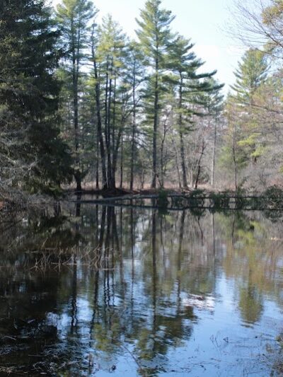 Sabine Place Trail - Groton, MA