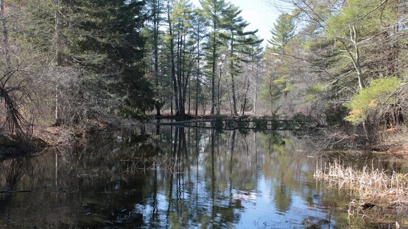 Sabine Place Trail - Groton, MA