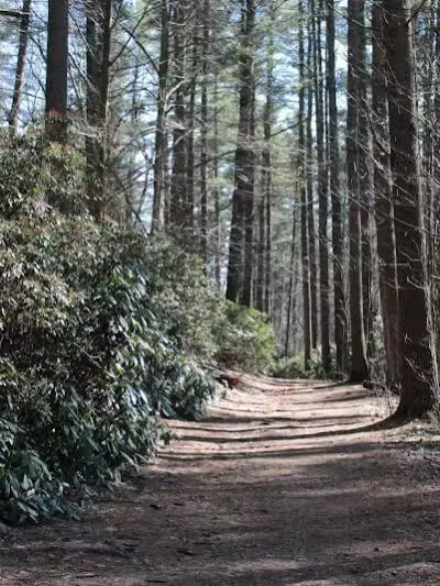 Sabine Place Trail - Groton, MA