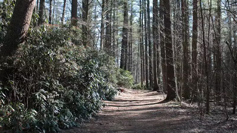 Sabine Place Trail - Groton, MA