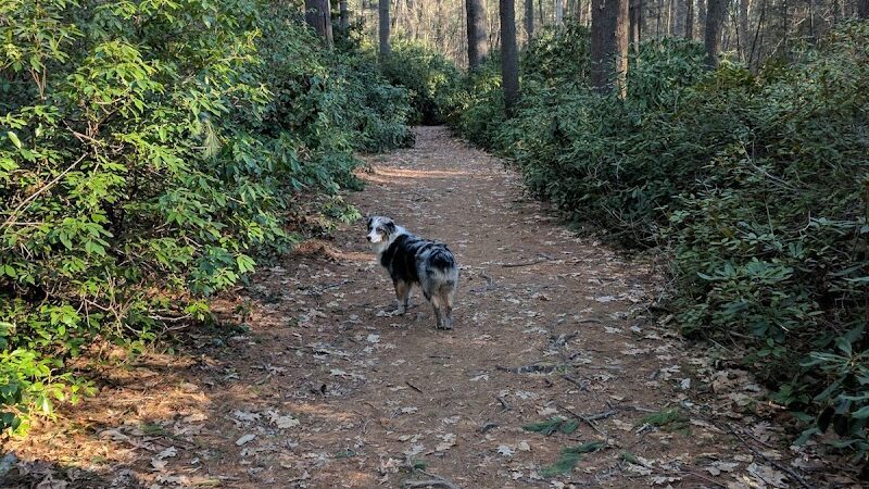 The Groton Hunt - Groton, MA