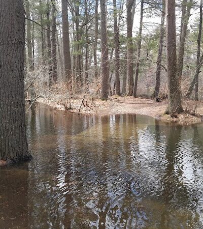 The Groton Hunt - Groton, MA