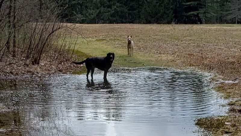 The Groton Hunt - Groton, MA