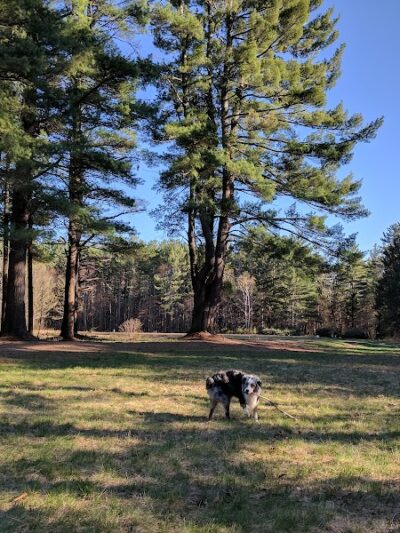 The Groton Hunt - Groton, MA