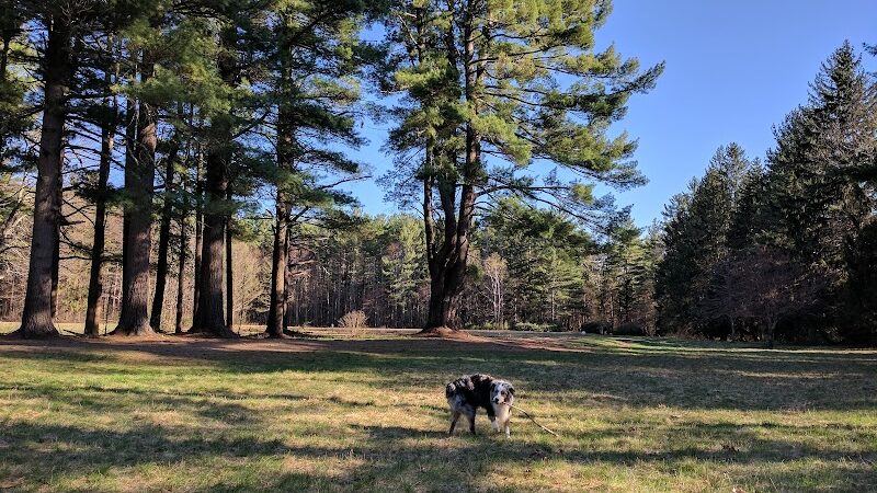 The Groton Hunt - Groton, MA