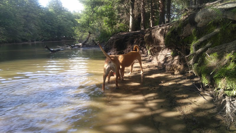 The Groton Hunt - Groton, MA