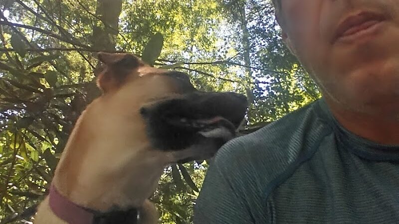 The Groton Hunt - Groton, MA