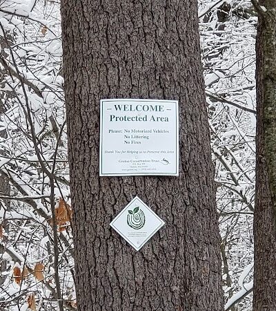 The Throne hiking trail, Rockwood Lane parking - Groton, MA