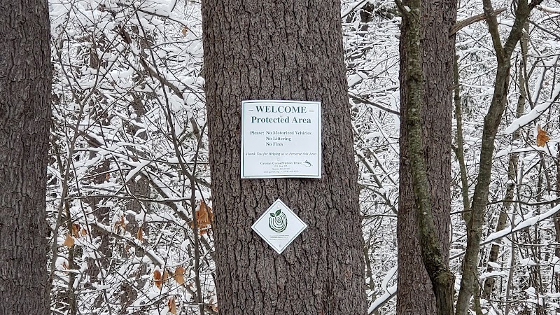 The Throne hiking trail, Rockwood Lane parking - Groton, MA