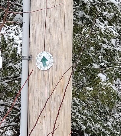 The Throne hiking trail, Rockwood Lane parking - Groton, MA
