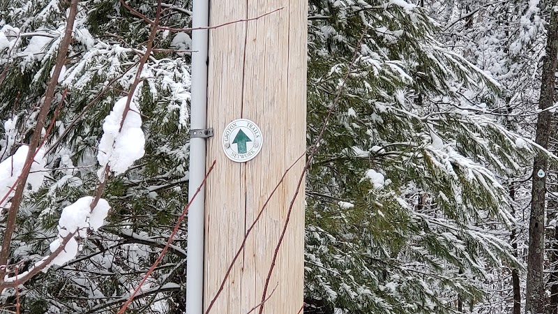 The Throne hiking trail, Rockwood Lane parking - Groton, MA