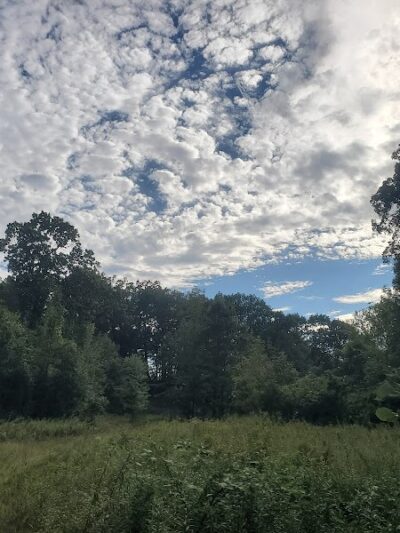 The Throne hiking trail, Rockwood Lane parking - Groton, MA