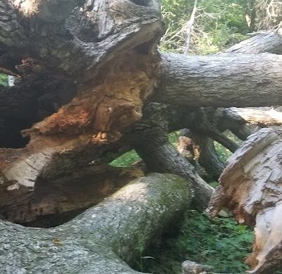 Tante Park - Groveland, IL