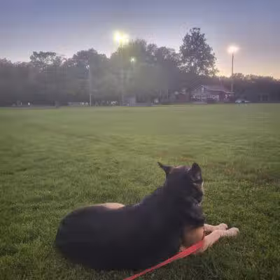 Nott Road Park - Guilderland, NY