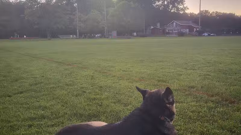 Nott Road Park - Guilderland, NY