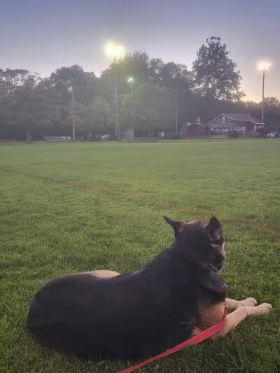 Nott Road Park - Guilderland, NY