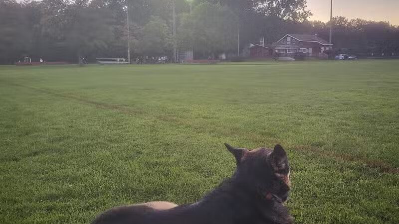 Nott Road Park - Guilderland, NY