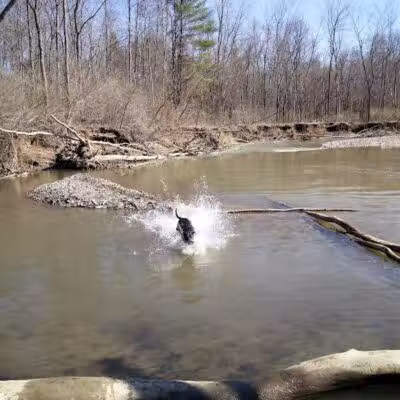 Nott Road Park - Guilderland, NY
