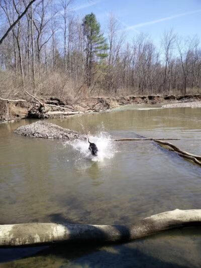 Nott Road Park - Guilderland, NY