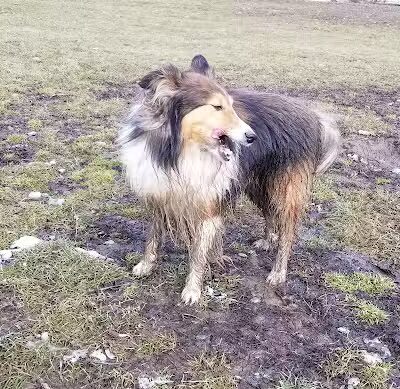 Nott Road Park - Guilderland, NY
