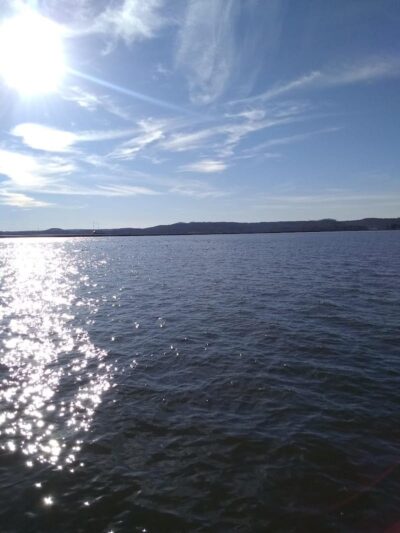 Guntersville Dog Park - Guntersville, AL
