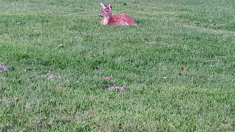 Alumni Field - Hackettstown, NJ