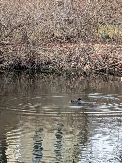 Alumni Field - Hackettstown, NJ