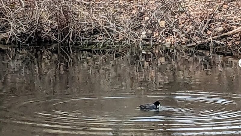 Alumni Field - Hackettstown, NJ