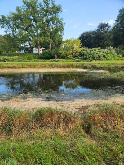 Alumni Field - Hackettstown, NJ