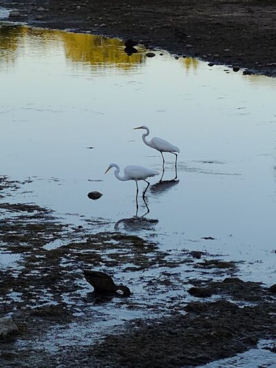 Alumni Field - Hackettstown, NJ