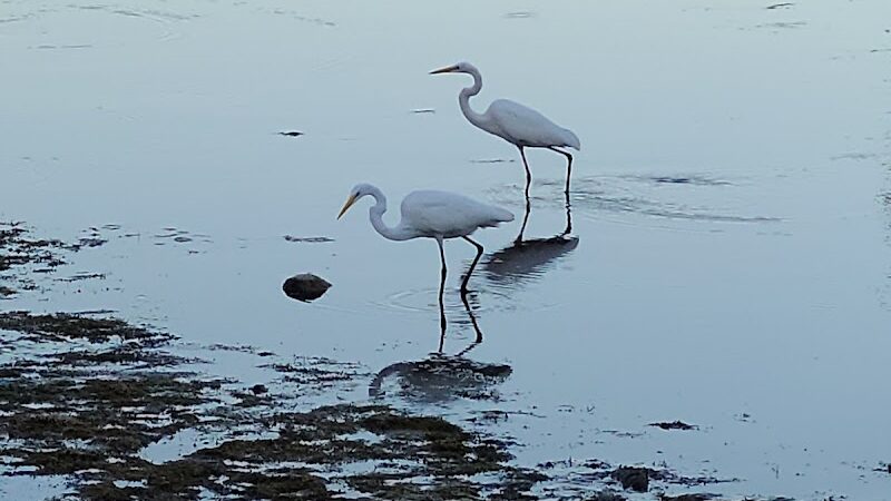 Alumni Field - Hackettstown, NJ