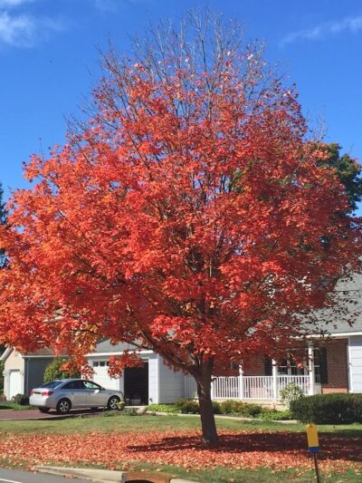 Alumni Field - Hackettstown, NJ