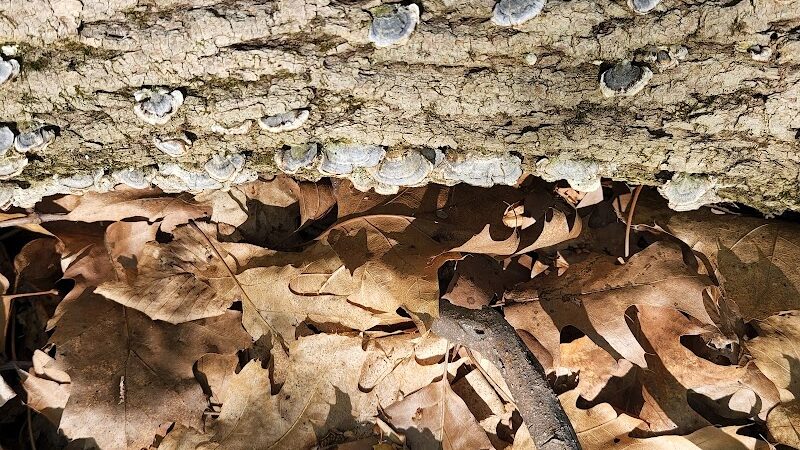 Florence Kuipers Park - Grand Avenue Parking Area - Hackettstown, NJ