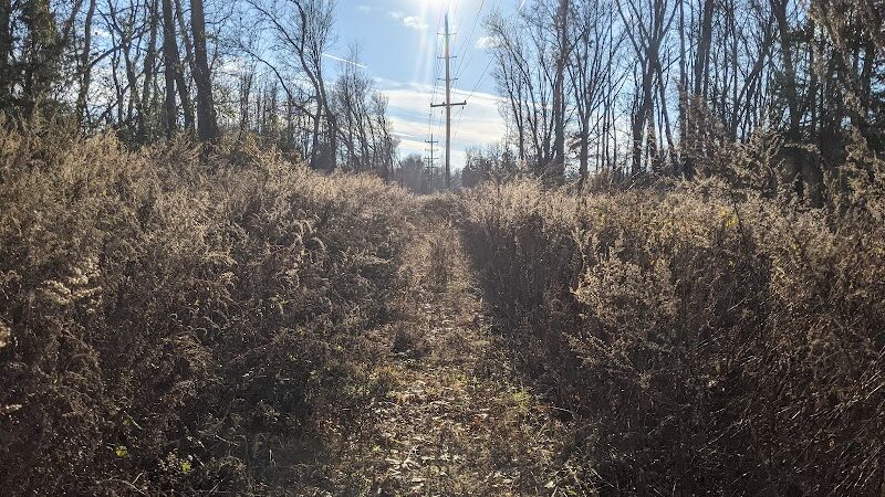 Florence Kuipers Park - Grand Avenue Parking Area - Hackettstown, NJ