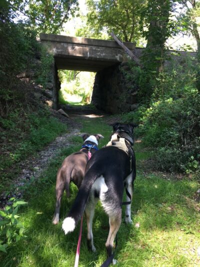Florence W. Kuipers Memorial Park - Hackettstown, NJ