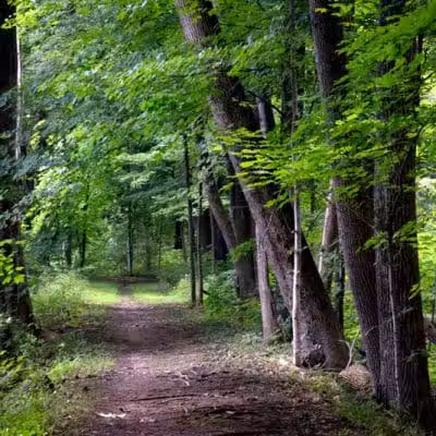Florence W. Kuipers Memorial Park - Hackettstown, NJ