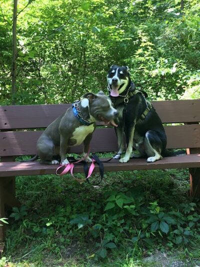 Florence W. Kuipers Memorial Park - Hackettstown, NJ