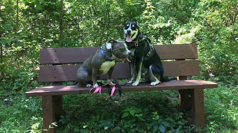 Florence W. Kuipers Memorial Park - Hackettstown, NJ