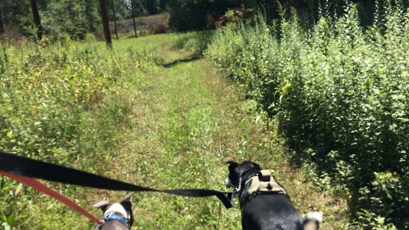 Florence W. Kuipers Memorial Park - Hackettstown, NJ