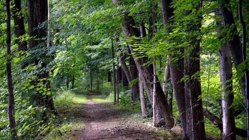 Florence W. Kuipers Memorial Park - Hackettstown, NJ
