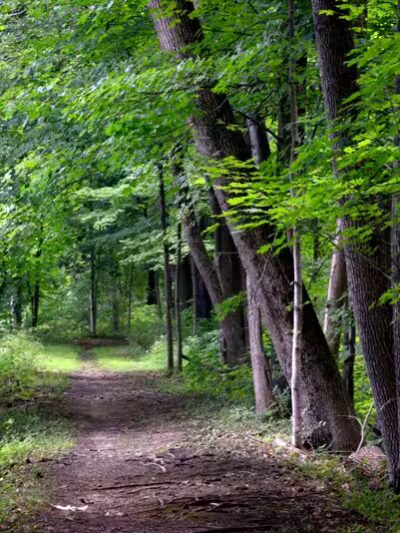 Florence W. Kuipers Memorial Park - Hackettstown, NJ