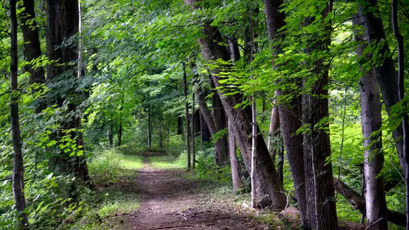 Florence W. Kuipers Memorial Park - Hackettstown, NJ
