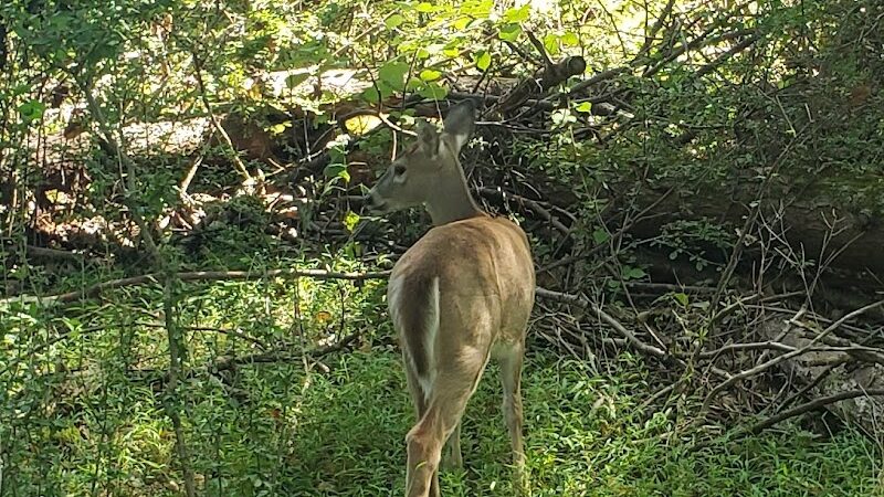 Hackettstown Riverfront Park - Hackettstown, NJ