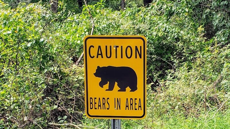 Hackettstown Riverfront Park - Hackettstown, NJ