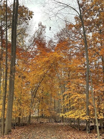 Hackettstown Riverfront Park - Hackettstown, NJ