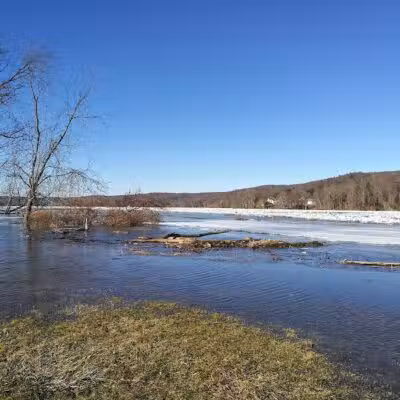 Haddam Meadows State Park - Haddam, CT
