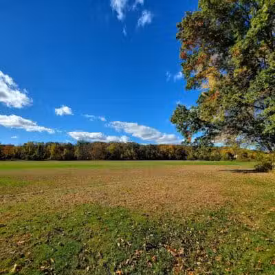 Haddam Meadows State Park - Haddam, CT